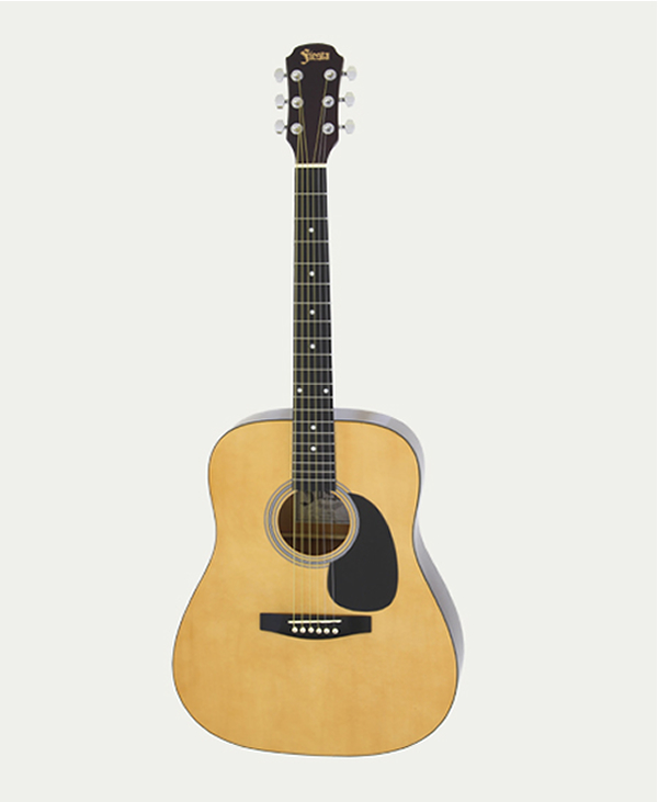 Fiesta FST 300 Acoustic Guitar